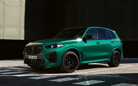 BMW X5 (G05, F95) 19.